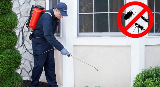 Evka 6 Haşere İlaçlama böcek ilaçlama ve haşere kontrolü — ilaclama-tr.com